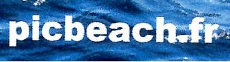 picbeach logo rectangle